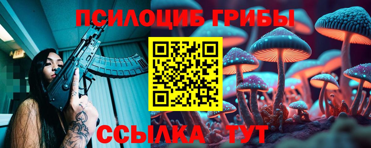 Абакан  Галлюциногенные грибы прущие грибы  Псилоцибиновые грибы ЛСД  Вход с VPN 
